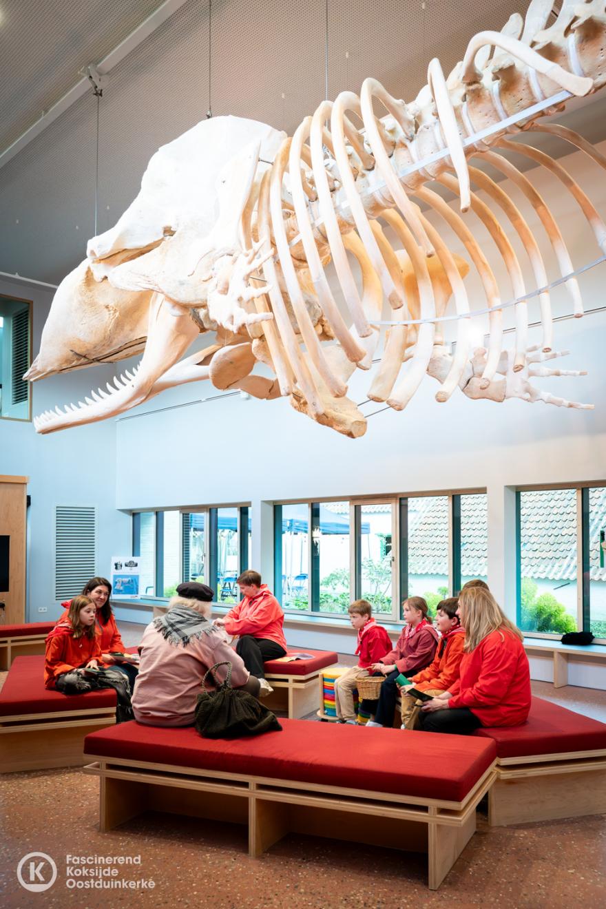 Een nacht in het museum 2026