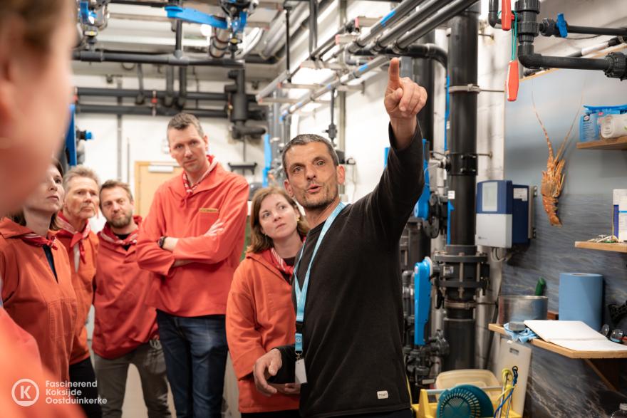 Een nacht in het museum 2026