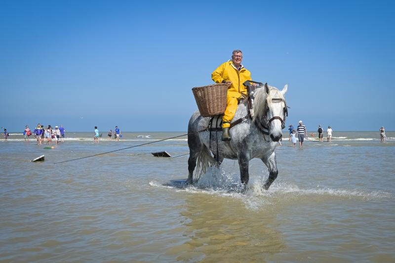 Shrimp fisher on horseback